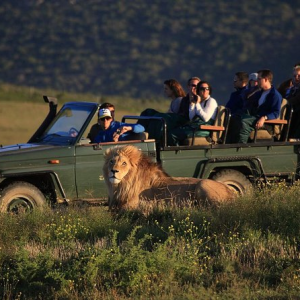 South Africa, Explore Wildlife &..